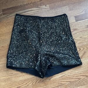 Zara Black Waistband Skirt